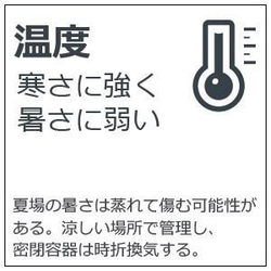 苔と亀【苔盆栽（焼締鉢）白・ベージュ系】 8枚目の画像