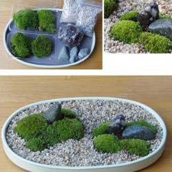 水晶入りアーシングポットキット（苔タイプ） その他素材 otu-shop
