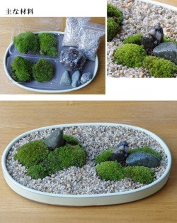 原画（額縁無し）】『ボンサイ様』（盆栽 苔 植物 五穀豊穣 お米）
