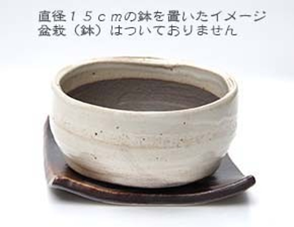 盆栽・苔玉を自分流に飾る【盆栽 苔玉受け皿（焼締茶）１５．５ｃｍ】 6枚目の画像