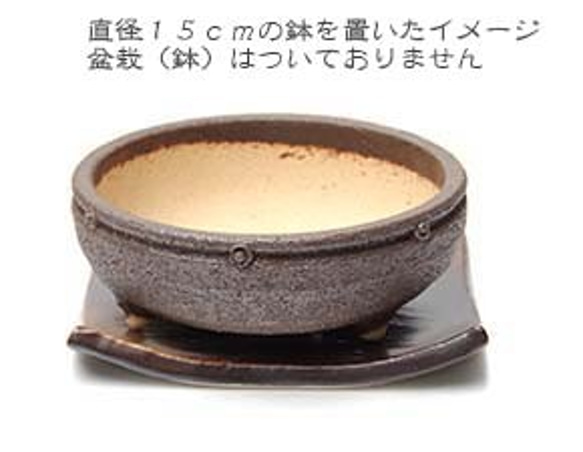 盆栽・苔玉を自分流に飾る【盆栽 苔玉受け皿（焼締茶）１５．５ｃｍ】 7枚目の画像