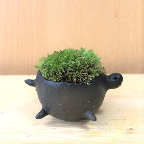 黒い葉模様の陶器植木鉢 楽しく 黒い葉模様の陶器植木鉢 楽しく