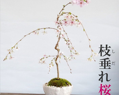 0_c4bca4ce5f62cd0593a5620eeb03