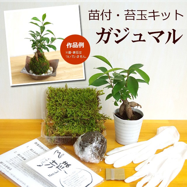 ♡める♡様ご確認 名入れ箸 白南天×2 懐かし