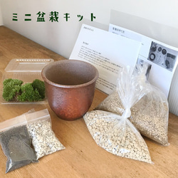 ご自宅で盆栽作りませんか？【盆栽作成キット　万古焼 （朱深丸鉢）セット】 1枚目の画像