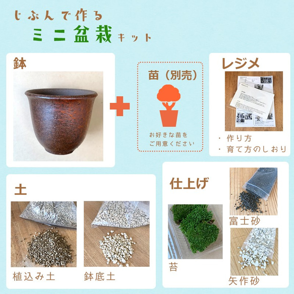 ご自宅で盆栽作りませんか？【盆栽作成キット　万古焼 （朱深丸鉢）セット】 2枚目の画像