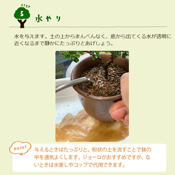 ご自宅で盆栽作りませんか？【盆栽作成キット（陶芸作家 川名萌子　創作角鉢）セット】 8枚目の画像