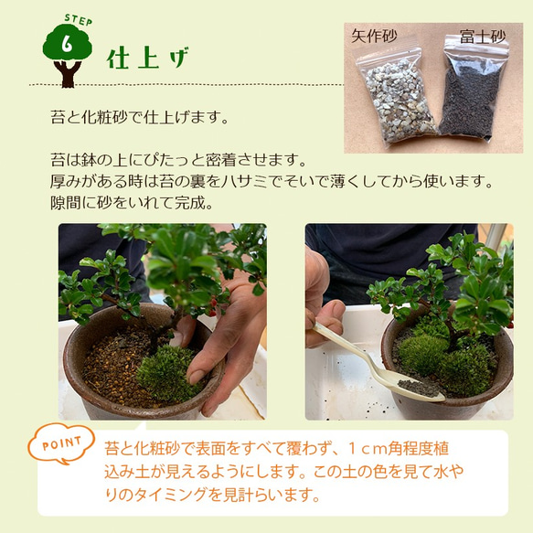 ご自宅で盆栽作りませんか？【盆栽作成キット（陶芸作家 川名萌子　創作角鉢）セット】 9枚目の画像