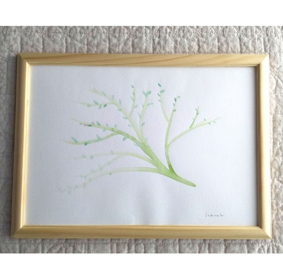 原画　水彩画「tree」　A4サイズ　額装します　送料無料　癒やし　ナチュラル 4枚目の画像