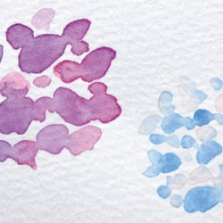 濕潤水彩“繡球花”明信片/3 件套 Naturaco 第2張的照片