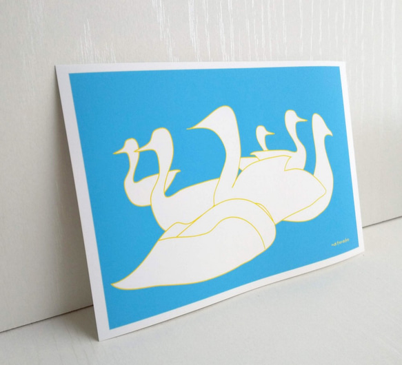 藝術“天鵝”明信片/3 件套 Naturaco 第1張的照片