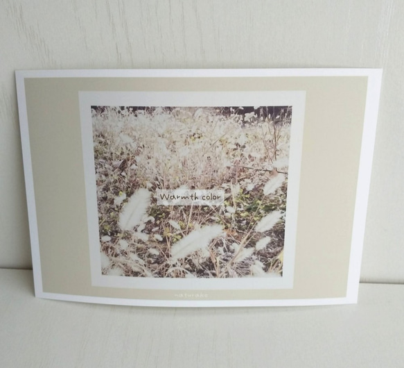 「アイボリー」秋色　フォトデザイン　ポストカード/3枚セット　ナチュラコ　 2枚目の画像
