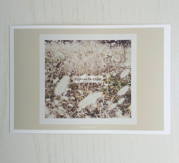 「アイボリー」秋色　フォトデザイン　ポストカード/3枚セット　ナチュラコ　 3枚目の画像
