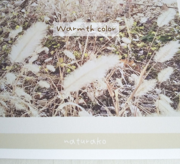 “象牙色”秋季照片設計明信片/3 件套 Naturaco 第4張的照片