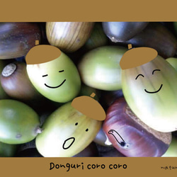 “Acorn CoroCoro”照片設計秋季彩色明信片 / 3 件套 naturako 第4張的照片