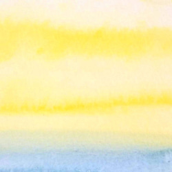 Irodori 明信片水彩畫什錦 / 5 件套（藍色、鳥、黃色、曲線、馬） Naturaco 第7張的照片