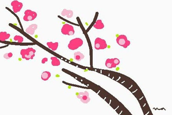 ナチュラルかわいい　ポストカード　　アソート　/5枚セット（桜、コデマリ、雨、イルカ、星）　ナチュラコ 5枚目の画像