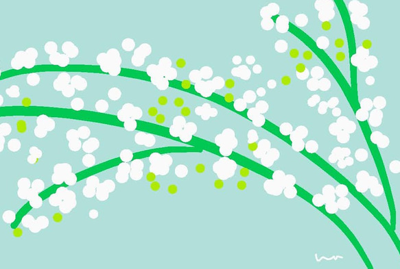 ナチュラルかわいい　ポストカード　　アソート　/5枚セット（桜、コデマリ、雨、イルカ、星）　ナチュラコ 6枚目の画像
