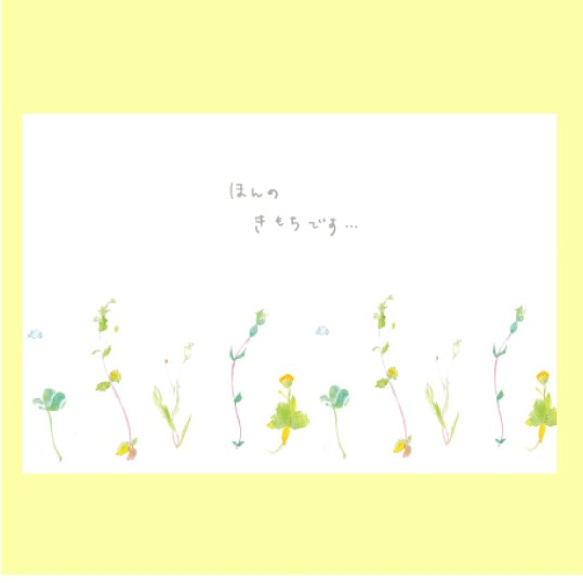 “野花”水彩明信片/3 件套 naturako 第7張的照片