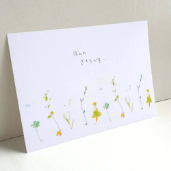 “野花”水彩明信片/3 件套 naturako 第3張的照片