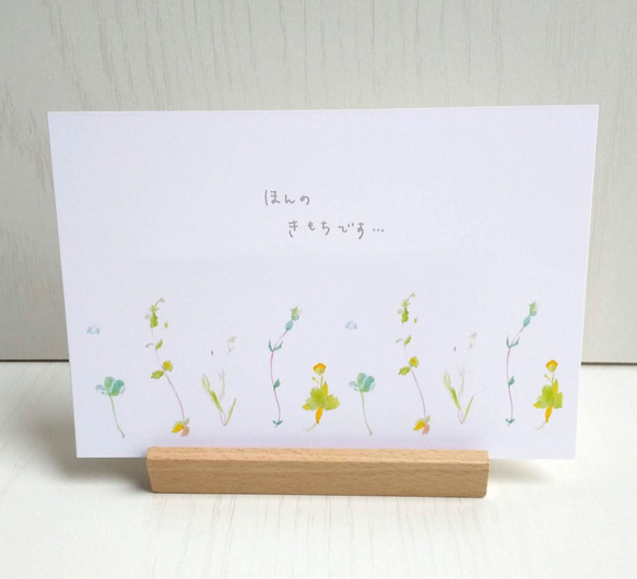 “野花”水彩明信片/3 件套 naturako 第1張的照片