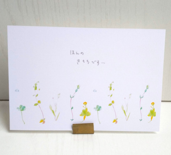 “野花”水彩明信片/3 件套 naturako 第2張的照片