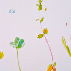 “野花”水彩明信片/3 件套 naturako 第5張的照片