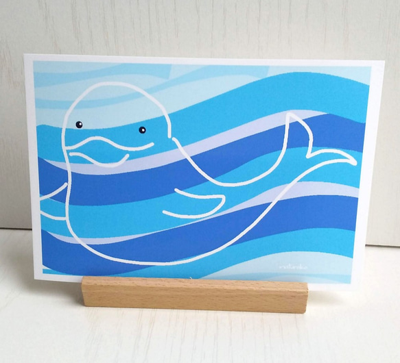 ハロー！「イルカ」　ポストカード/３枚セット　naturako　 2枚目の画像