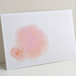 可愛的“花粉色”明信片/3 件套 Naturaco 第1張的照片