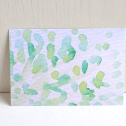 夏　水彩画「グリーン」　 ポストカード/３枚セット ナチュラコ　 6枚目の画像