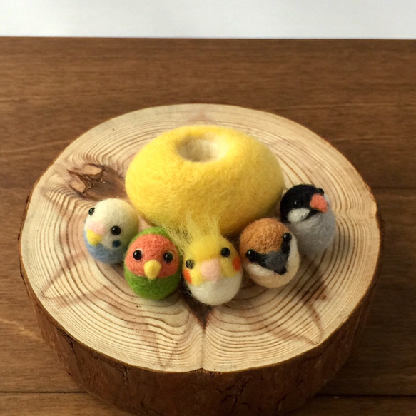 【受注制作】羊毛フェルト 鳥さん in フルーツ 5枚目の画像