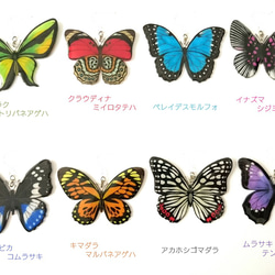 アンティーク風＊蝶のネックレス 2枚目の画像