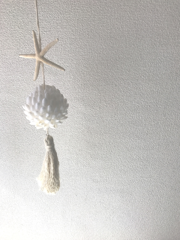 送料無料 タマゴ貝のホワイトシェルボールの壁掛け雑貨 1枚目の画像
