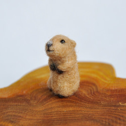 羊毛フェルトマスコット「プレーリードッグ」 2枚目の画像