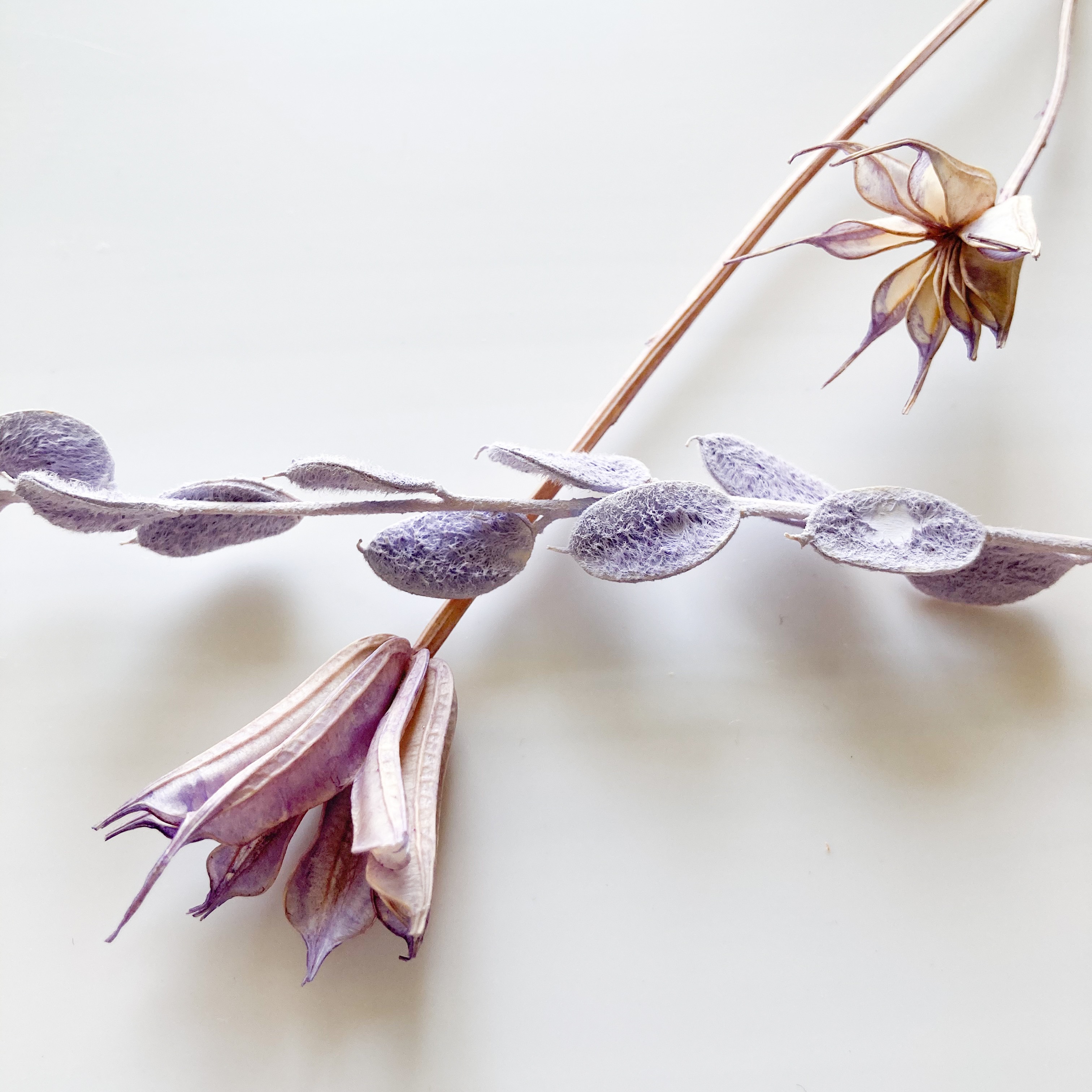 ☆14kgfについて☆