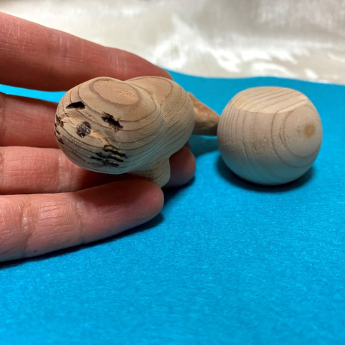 木彫りのアザラシ 北海道に”アザラシ旋風”到来 愛くるしい赤ちゃん誕生…もふもふは