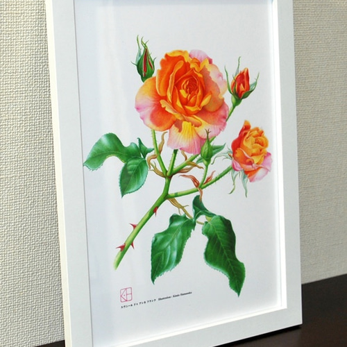 水彩花鳥」シリーズ「スヴニール・ドゥ・アンネ・フランク」A4 絵画 K