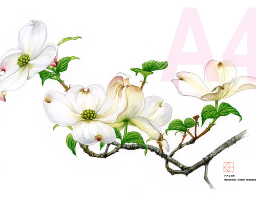 0_716516b274b8274df8827d45465f