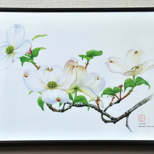 花水木タペストリー 藍染 手作り ハンドメイド ハナミズキ 花水木タペストリー 藍染 手作り ハンドメイド ハナミズキ