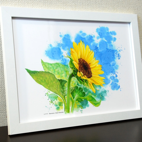 水彩花鳥」シリーズ「ヒマワリ」A4 絵画 K・HAMA 通販 9132489