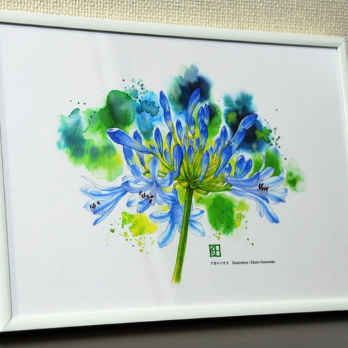 水彩花鳥」シリーズ「アガパンサス」B5 絵画 K・HAMA 通販