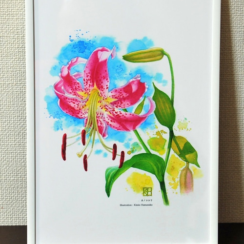 水彩花鳥」シリーズ「カノコユリ」B5 絵画 K・HAMA 通販 9132928