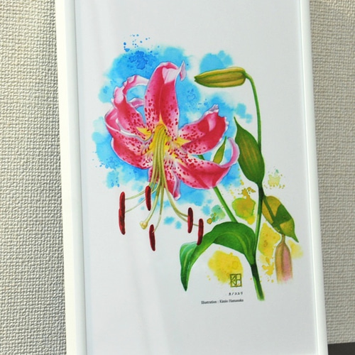 水彩花鳥」シリーズ「カノコユリ」B5 絵画 K・HAMA 通販 9132928