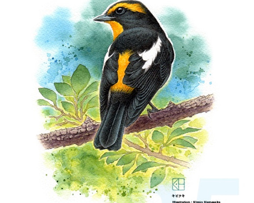 0_2cf63cb41081b07fe27ec03ab7b1