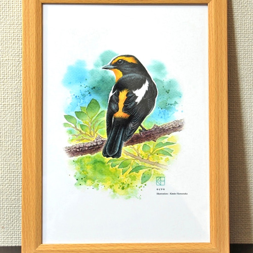 貴石画★花と鳥のデザイン アート作品 ロックフェラー・コレクション花鳥版画展 北斎、広重を中心に | 企画展