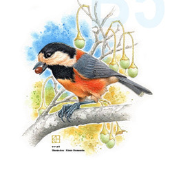 0_9acdd5f2eb4b2b5fd2c3c6736e04