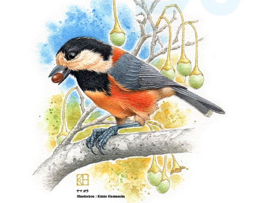 0_9acdd5f2eb4b2b5fd2c3c6736e04