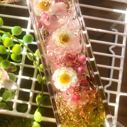 40 〜桜シリーズ〜　ハーバリウム　ハナカンザシとサクラ　植物標本　 2枚目の画像