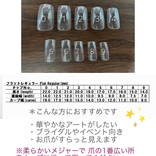 オーダーネイルチップ 2点 2点セット オーダーネイルチップ✳︎ ネイルチップ（つけ爪