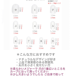  第6張的照片